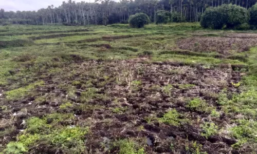 വയനാട്ടിൽ മാസാവസാനം കൂടുതൽ മഴക്ക് സാധ്യത വയനാട്ടിൽ മാസാവസാനം കൂടുതൽ മഴക്ക് സാധ്യത