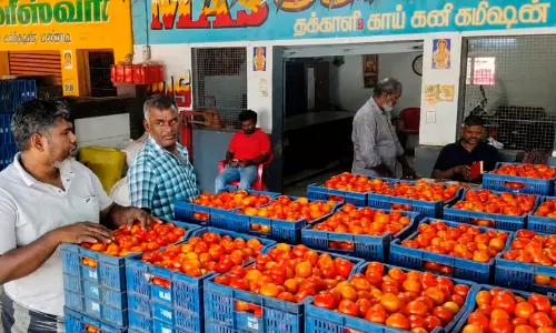 മഴയില്ല, കൃഷിയില്ല; തമിഴ്നാട്ടിലെ വരൾച്ച കേരളത്തിലെ ഓണവിപണിക്ക് തിരിച്ചടി