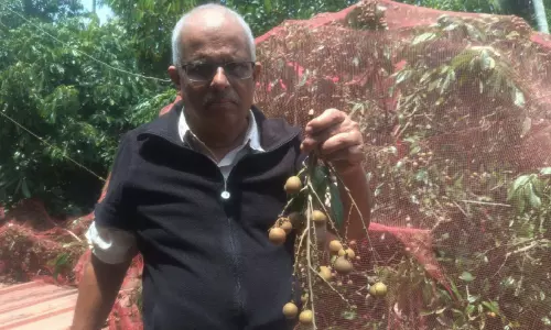 ജോസഫ് മാഷാണെ സത്യം! ലോഗൻ വയനാട്ടിലും വിളയും