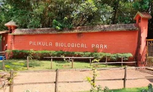 മം​ഗ​ളൂ​രു പി​ലി​ക്കു​ള മൃ​ഗ​ശാ​ല വ​നം വ​കു​പ്പി​ന് കൈ​മാറുമെന്ന് ക​ർ​ണാ​ട​ക സ​ർ​ക്കാ​ർ ഹൈ​കോ​ട​തി​യി​ൽ