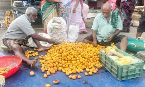 കമുകിന്‍ കൃഷി വീണ്ടും സജീവം; പാളക്കും അടയ്ക്കക്കും ആവശ്യക്കാരേറുന്നു