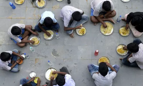 school midday meals