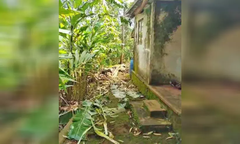 നാട്ടുകാർ ചോദിക്കുന്നു, ഞങ്ങളെന്ത് കാട്ടാനാ നാട്ടുകാർ ചോദിക്കുന്നു, ഞങ്ങളെന്ത് കാട്ടാനാ