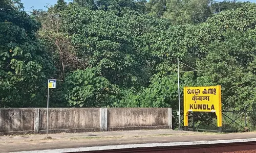 കാടുമൂടി കുമ്പള റെയിൽവേ ഭൂമി