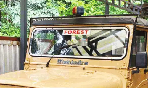 ചുഴലിയില്‍ കാടുകയറി തെരഞ്ഞിട്ടും പുലിയെ കണ്ടെത്താനായില്ല