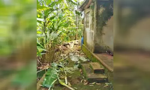 നാട്ടുകാർ ചോദിക്കുന്നു, ഞങ്ങളെന്ത് കാട്ടാനാ നാട്ടുകാർ ചോദിക്കുന്നു, ഞങ്ങളെന്ത് കാട്ടാനാ