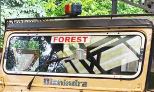 വ​ന​മേ​ഖ​ല​യി​ൽ ടാ​ങ്കി​യ കൃ​ഷി പു​ന​രാ​രം​ഭി​ക്ക​ണ​മെ​ന്ന് ക​ർ​ഷ​ക​ർ