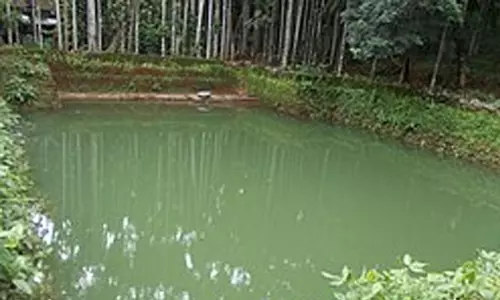 അന്താരാഷ്ട്ര മുങ്ങിമരണ പ്രതിരോധദിനം; ജില്ലയിലെ ജലാശയങ്ങൾ അപകട മേഖല