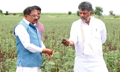 വരൾച്ച തയാറെടുപ്പ് അവലോകനം ചെയ്ത് മുഖ്യമന്ത്രി വരൾച്ച തയാറെടുപ്പ് അവലോകനം ചെയ്ത് മുഖ്യമന്ത്രി
