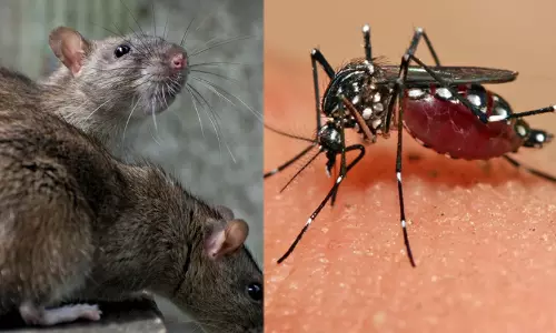 നിയന്ത്രണം വിട്ട് എലിപ്പനിയും മലേറിയയും; കേസുകൾ വർധിക്കുന്നു