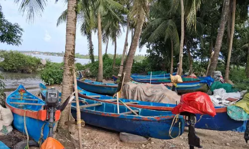 അടിസ്ഥാന സൗകര്യമില്ല; തെങ്ങിൽ ബന്ധിച്ച് വള്ളങ്ങൾ, മാട്ടൂലിൽ ഫിഷ് ലാൻഡിങ് സെന്ററില്ല