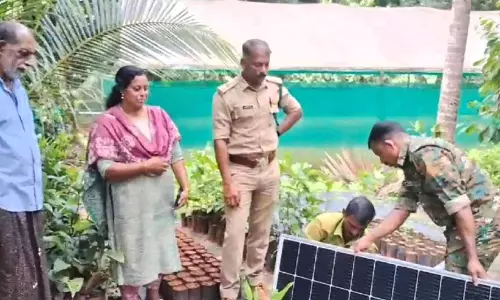 കണ്ടങ്കയത്ത് താൽകാലിക സോളാർ വേലി നിർമിച്ചു