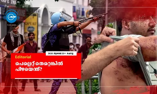 പെല്ലെറ്റ് തെറ്റെങ്കിൽ പി​ഴയെന്ത്?