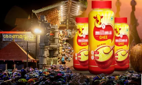 ശബരിമലയിലേക്കുള്ള നെയ്യ്​: കൃത്യമായി ടെൻഡർ ക്ഷണിച്ചില്ല, ഒരു ടിൻ നെയ്യിന് കോട്ട് ചെയ്തത് വെറും 18 രൂപ!;  ഗുരുതര ക്രമക്കേടെന്ന്​ അന്വേഷണ റിപ്പോർട്ട്​