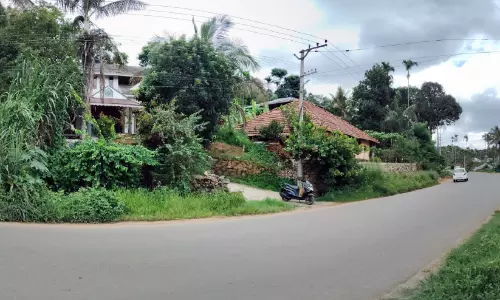 ഇ​ത് അ​പ​ക​ട​വ​ള​വ്; പ​ന​മ​രം-​മാ​ന​ന്ത​വാ​ടി റോ​ഡി​ലെ കാ​പ്പും​ചാ​ൽ വ​ള​വി​ൽഅ​പ​ക​ട​ങ്ങ​ൾ വ​ർ​ധി​ക്കു​ന്നു