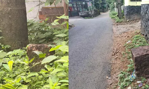 വർഷങ്ങളായി ഇഴഞ്ഞ് ശബരി റെയിൽവേ പദ്ധതി; ഭൂമിയേറ്റെടുക്കലിലെ അനിശ്ചിതത്വവും ആശങ്കകളും തുടരുന്നു