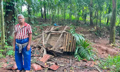 കേ​ളുനാ​യ​ർപ​ടി​യി​ൽ   റോ​ഡി​ലി​റ​ങ്ങി കാ​ട്ടാ​ന​ക​ൾ;നാ​ട്ടി​ലി​റ​ങ്ങി​യ ര​ണ്ട് ആ​ന​ക​ളും കൃ​ഷി ന​ശി​പ്പി​ച്ചു
