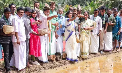 തരിശുപാടങ്ങൾ വീണ്ടും പച്ചപിടിക്കും; ‘പാടം പൂക്കും കാലം’ വിത്തുത്സവത്തിന് തുടക്കം