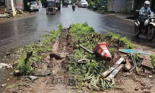 പിലാത്തറ-പാപ്പിനിശ്ശേരി കെ.എസ്.ടി.പി റോഡ്; ഈ മരണപാതയിൽ അപകടങ്ങൾ ഒഴിയുമോ? പിലാത്തറ-പാപ്പിനിശ്ശേരി കെ.എസ്.ടി.പി റോഡ്; ഈ മരണപാതയിൽ അപകടങ്ങൾ ഒഴിയുമോ?