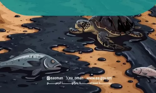 കടലിലോ തീരത്തോ എണ്ണച്ചോർച്ച കണ്ടാൽ ഉടൻ റിപ്പോർട്ട് ചെയ്യണം- ഒമാൻ പരിസ്ഥിതി അതോറിറ്റി