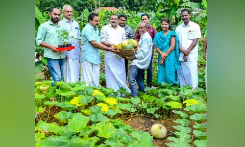 വി​ള​വൊ​രു​ക്കം പ​ദ്ധ​തി​ക്ക് തു​ട​ക്കം