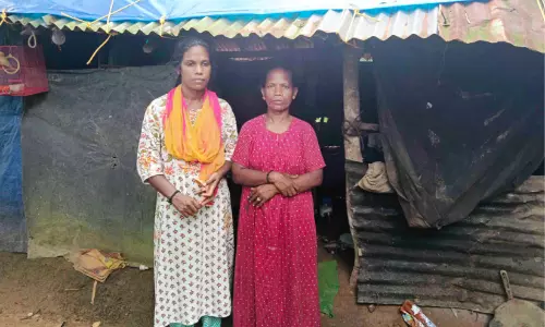 താ​മ​സം പൊ​ളി​യാ​റാ​യ ഷെ​ഡി​ൽ; 12 വ​ർ​ഷ​മാ​യി​ട്ടും ആ​രും തി​രി​ഞ്ഞു​നോ​ക്കാ​തെ ഒ​രു കു​ടും​ബം