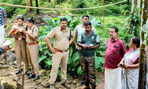 രണ്ടാം ദിനവും ആടിനെ കൊന്നു; പുലിയെന്ന് സ്ഥിരീകരിച്ച് വനം വകുപ്പ്