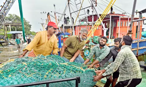 കടലിന്റെ കനിവുതേടി ബോട്ടുകൾ വീണ്ടും... കടലിന്റെ കനിവുതേടി ബോട്ടുകൾ വീണ്ടും...