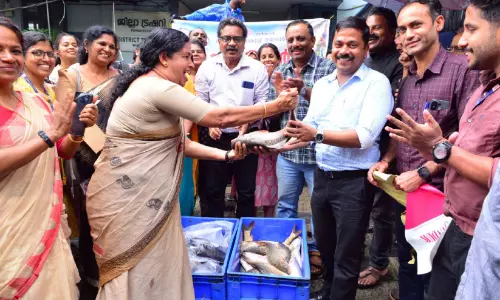 വിഷരഹിത മീനിനായി ‘മൺസൂൺ മത്സ്യസമൃദ്ധി’ വിഷരഹിത മീനിനായി ‘മൺസൂൺ മത്സ്യസമൃദ്ധി’