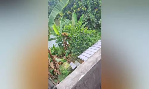അച്ചൻകോവിലാറിന്‍റെ തീരമിടിയുന്നു; വീടുകൾ ഭീഷണിയിൽ
