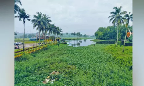 പോളപ്പായലും ചളിയും നിറഞ്ഞ് കടമ്പ്രയാർ; പാഴാക്കിയത് കോടികൾ