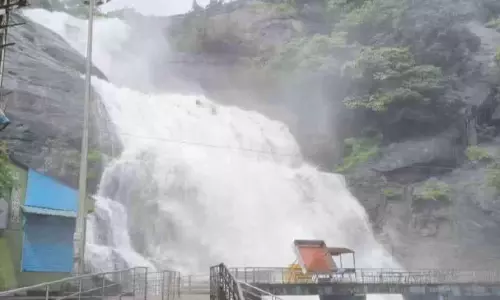 പെരുമഴ; മലയോര മേഖലയിൽ വ്യാപകനാശം