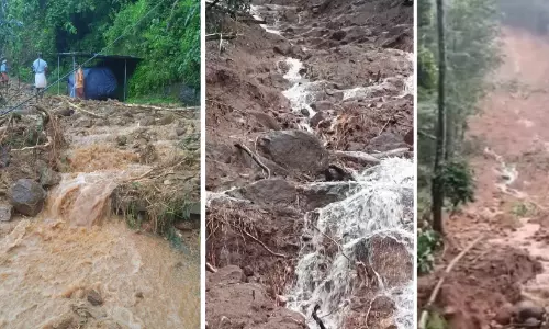 നെല്ലിക്കാപ്പാറയിലും തൂമ്പാകുളത്തും ഉരുൾപൊട്ടി നെല്ലിക്കാപ്പാറയിലും തൂമ്പാകുളത്തും ഉരുൾപൊട്ടി