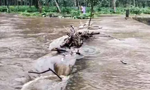 പാലക്കാട് മഴ ശക്തം; മംഗലം, കാഞ്ഞിരപ്പുഴ ഡാമുകൾ തുറന്നു പാലക്കാട് മഴ ശക്തം; മംഗലം, കാഞ്ഞിരപ്പുഴ ഡാമുകൾ തുറന്നു
