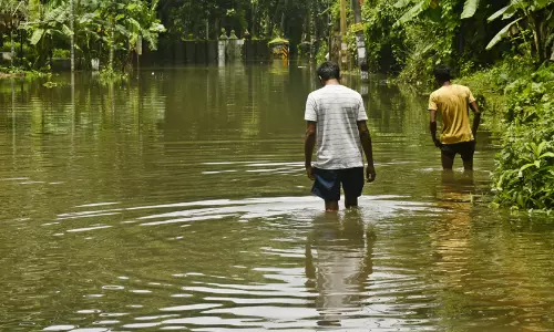 ആലപ്പുഴയിലും എറണാകുളത്തും അവധി; സംസ്ഥാനത്ത് 12 ജില്ലകളിൽ ഇന്ന് അവധി, കനത്ത മഴ തുടരും ആലപ്പുഴയിലും എറണാകുളത്തും അവധി; സംസ്ഥാനത്ത് 12 ജില്ലകളിൽ ഇന്ന് അവധി, കനത്ത മഴ തുടരും