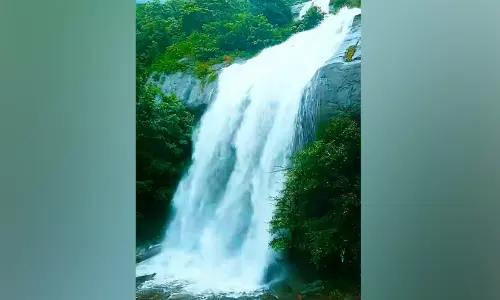 ആർത്തലച്ച് തെന്മലയിലെ വെള്ളച്ചാട്ടങ്ങൾ ആർത്തലച്ച് തെന്മലയിലെ വെള്ളച്ചാട്ടങ്ങൾ