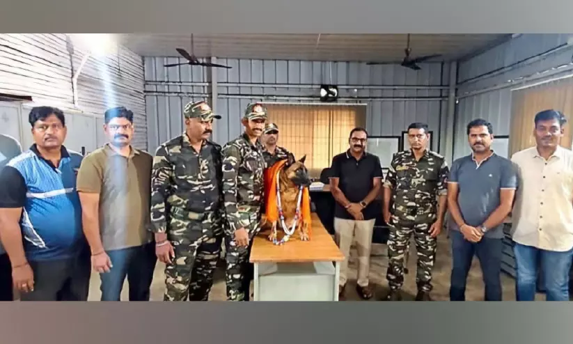 സ്തുത്യർഹ സേവനം പൂർത്തിയാക്കി ‘ആൽച്ചി’ പടിയിറങ്ങി സ്തുത്യർഹ സേവനം പൂർത്തിയാക്കി ‘ആൽച്ചി’ പടിയിറങ്ങി