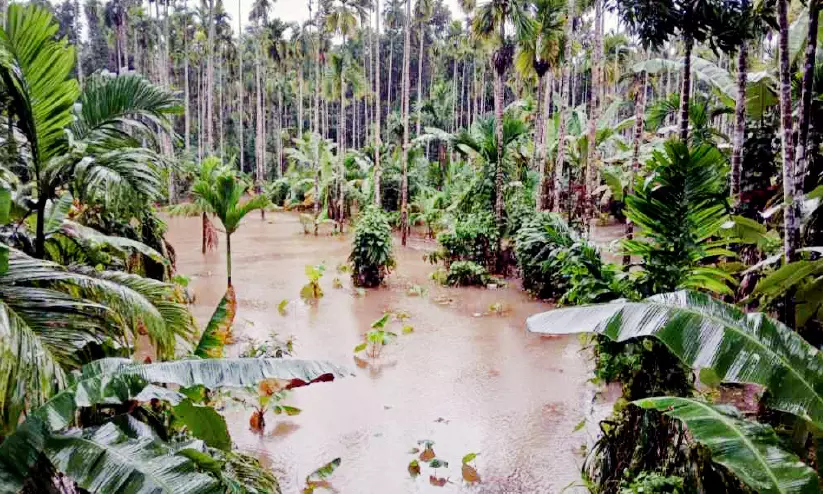 ചെറുപുഴ കരകവിഞ്ഞാൽ ജീവിതം നിശ്ചലമാകും; ദുരിതത്തിൽ തലപ്പെരുമണ്ണ, എരഞ്ഞിക്കോത്ത്, കാക്കേരി നിവാസികൾ ചെറുപുഴ കരകവിഞ്ഞാൽ ജീവിതം നിശ്ചലമാകും; ദുരിതത്തിൽ തലപ്പെരുമണ്ണ, എരഞ്ഞിക്കോത്ത്, കാക്കേരി നിവാസികൾ