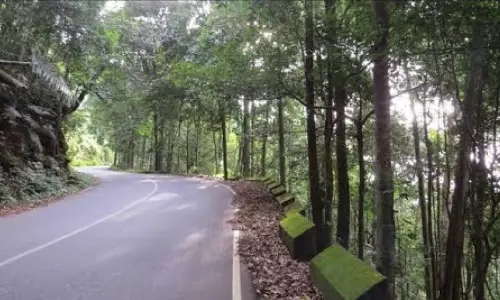 പ്രതിസന്ധിയിലാകുന്ന വയനാട് യാത്ര; വരുമോ ചുരംരഹിത പാത?
