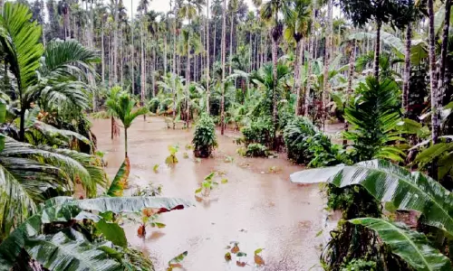 ചെറുപുഴ കരകവിഞ്ഞാൽ ജീവിതം നിശ്ചലമാകും;   ദുരിതത്തിൽ തലപ്പെരുമണ്ണ, എരഞ്ഞിക്കോത്ത്, കാക്കേരി നിവാസികൾ
