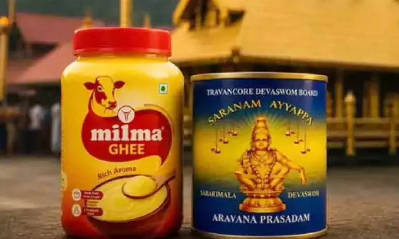നെയ്യ് വിതരണം; മിൽമക്ക് ടെൻഡർ നൽകിയത് കുറഞ്ഞ വില ക്വോട്ട് ചെയ്ത രണ്ട് കമ്പനികളെ ഒഴിവാക്കി നെയ്യ് വിതരണം; മിൽമക്ക് ടെൻഡർ നൽകിയത് കുറഞ്ഞ വില ക്വോട്ട് ചെയ്ത രണ്ട് കമ്പനികളെ ഒഴിവാക്കി