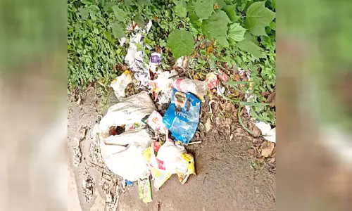 മാലിന്യനിക്ഷേപകേന്ദ്രമായി സംസ്ഥാനപാത മാലിന്യനിക്ഷേപകേന്ദ്രമായി സംസ്ഥാനപാത