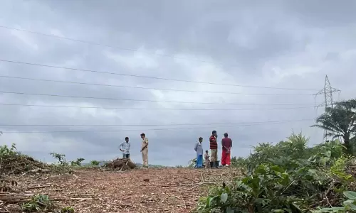 ഓയിൽപാം തോട്ടത്തിൽ ഉഗ്രശബ്ദം; പരിഭ്രാന്തരായി നാട്ടുകാർ