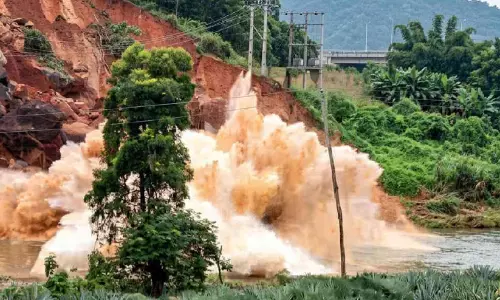 മാറാടിയിൽ വീണ്ടും മലയിടിഞ്ഞു; പൈനാപ്പിൾ തോട്ടം ഒലിച്ചു പോയി മാറാടിയിൽ വീണ്ടും മലയിടിഞ്ഞു; പൈനാപ്പിൾ തോട്ടം ഒലിച്ചു പോയി