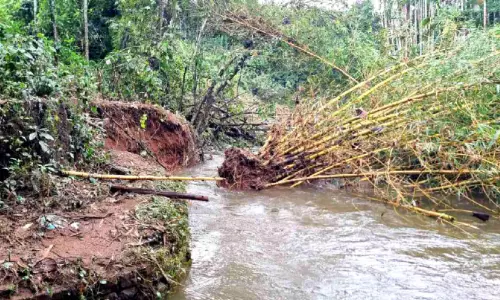 മുളങ്കൂട്ടം വീണ് പുഴ ഗതിമാറി ഒഴുകി; പമ്പ് ഹൗസും വീടുകളും ഭീഷണിയിൽ മുളങ്കൂട്ടം വീണ് പുഴ ഗതിമാറി ഒഴുകി; പമ്പ് ഹൗസും വീടുകളും ഭീഷണിയിൽ