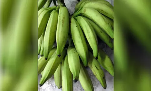 ഏത്തക്കായ വിലയുയരുന്നു; ഓണ വിഭവങ്ങൾക്ക് കൈപൊള്ളും ഏത്തക്കായ വിലയുയരുന്നു; ഓണ വിഭവങ്ങൾക്ക് കൈപൊള്ളും