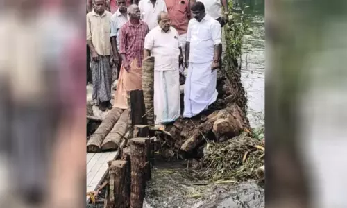 മൂന്നാംവേലിക്കരി പാടശേഖരത്തിൽ മടവീണു മൂന്നാംവേലിക്കരി പാടശേഖരത്തിൽ മടവീണു