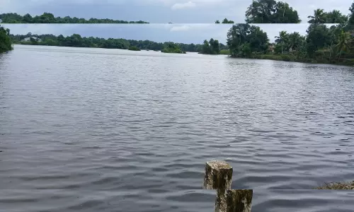 പ്ര​ള​യം: കാ​ർ​ഷി​ക മേ​ഖ​ല​യി​ൽ 12 കോ​ടി​യു​ടെ   ന​ഷ്​​ട​മെ​ന്ന്​ പ്രാ​ഥ​മി​ക വി​ല​യി​രു​ത്ത​ൽ