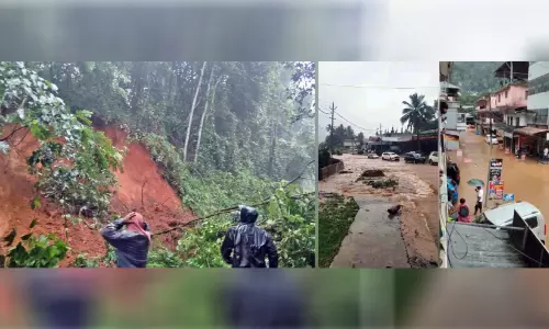 മഴ കനത്തു; അടിമാലി മേഖലയിൽ വ്യാപക നാശം മഴ കനത്തു; അടിമാലി മേഖലയിൽ വ്യാപക നാശം