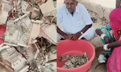 മോഷണം ഭയന്ന് 5 ലക്ഷം രൂപ കൃഷിയിടത്തിൽ കുഴിച്ചിട്ടു; സ്ഥലം മറന്നുപോയ കർഷകന് കിട്ടിയത് ചിതലരിച്ച നോട്ടുകൾ മോഷണം ഭയന്ന് 5 ലക്ഷം രൂപ കൃഷിയിടത്തിൽ കുഴിച്ചിട്ടു; സ്ഥലം മറന്നുപോയ കർഷകന് കിട്ടിയത് ചിതലരിച്ച നോട്ടുകൾ